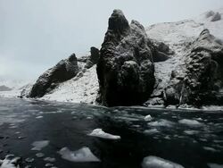 MS Water and icy snow going down river in front of snow cover cliff / Iceland  Stock Footage