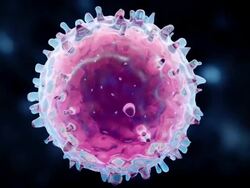 T cell or virus isolated Stock Footage