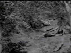 ROUND AUSTRALIA CAR RACE - News Clip