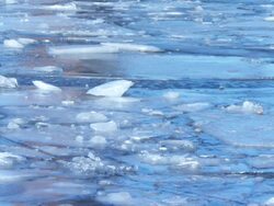 MS Surface of water with melting ice / Stockholm, Stockholm, Sweden Stock Footage