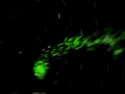 Data Chasing Letters Camera Offset Stock Footage