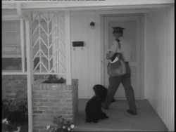 A mail carrier pets a dog sitting on a porch and drops mail in a mailbox. News Clip