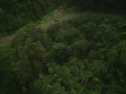 A black vehicle travels along a dirt road in a rainforest in Bolivia. Stock Footage