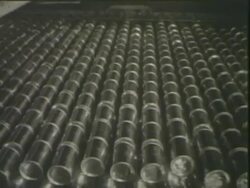 Cans rolling on conveyor belt and into water Stock Footage