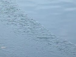 Ice sheet in the lake Stock Footage