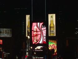 WWF's Earth Hour 2009 Stock Footage