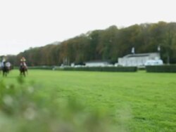 MS R/F View of Horses gallop down home stretch / Krefeld, North Rhine Westphalia, Germany  Stock Footage