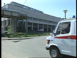 Russia - Deadly Taste For Mushrooms News Clip