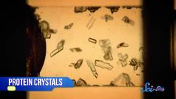 Space Station Science and NASA's Flying Saucer Instructional Video