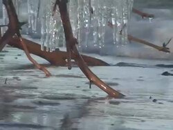 Icicles on the sea shore Stock Footage