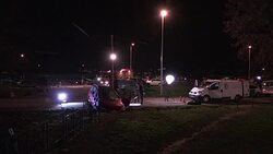 CLEAN : Driver shot as he drives at French soldiers guarding mosque News Clip