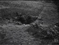 DRIVING ON IN HOLLAND - News Clip