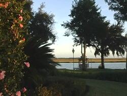 creek back yard Stock Footage