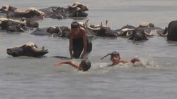Baghdad locals hit lakes and rivers in heatwave Instructional Video