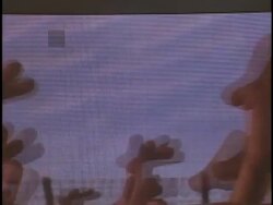 'Chicken Run' Premiere Stock Footage