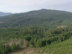 WS AERIAL View of forest in mountain / Oregon, United States Stock Footage