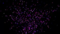 Confetti Explosion Stock Footage