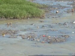 National emergency over cholera epidemic, hospital, water News Clip