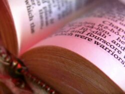 HD 1080i Holy Bible pages turning. Stock Footage