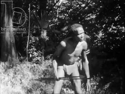 Hunters and exotic animals. France, 1955 Stock Footage