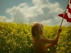 young boy displays his flag Stock Footage