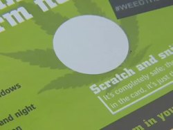 Scratch & sniff cards to help find cannabis farms News Clip