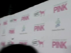 World's Largest Pajama Party Hosted by Pink and Ashlee Simpson sponsored by Victoria's Secret Stock Footage