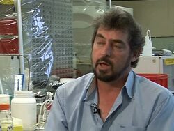 How Kangaroos help ifight global warming News Clip