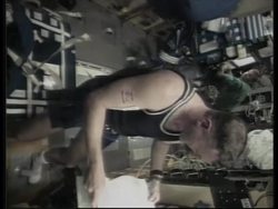 SPACE: ANIMAL EXPERIMENTS CONDUCTED ON SPACE SHUTTLE COLUMBIA News Clip