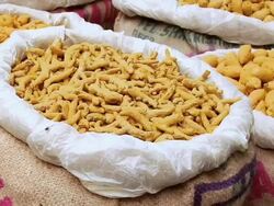 MS ZI Turmeric in sack / New Delhi, India Stock Footage