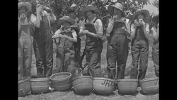 Female emergency crew picks and sorts peaches in Fort Valley, Georgia in 1927 News Clip