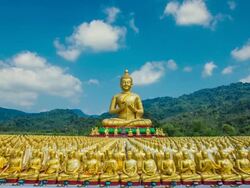 Golden Buddha Stock Footage