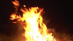 BONFIRE Stock Footage