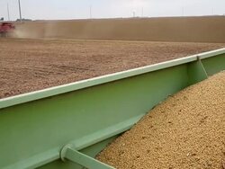 U.S. Farm Earnings Drop 14.6 Percent In Third Quarter AFter A Decline In Output Stock Footage