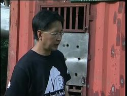 Rescued moon bears arrive at sanctuary News Clip