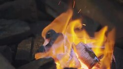 Firewoods burns in the fire Stock Footage