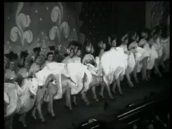 The John Tiller Girls by courtesy of Jack Hylton, London, UK, 1950 Stock Footage
