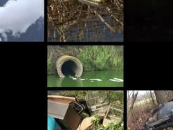 HD LOOP MONTAGE: Environmental Damage Stock Footage