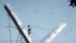 RACK FOCUS from electric cables to barbed wire Stock Footage