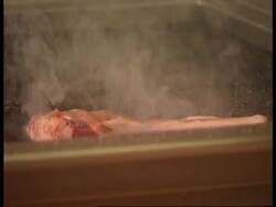 ITALY: ROME: WORLD FOOD SUMMIT UPDATE Instructional Video