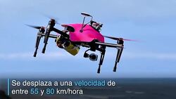CLEAN : En una playa de Francia drones al rescate News Clip