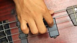 bass player Stock Footage