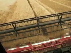 Harvesting winter wheat Stock Footage