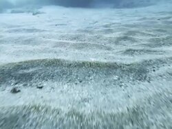 "Track shot, point of view swimming underwater over sea bed" Stock Footage