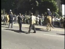 Crowds React to OJ Simpson Verdict Stock Footage