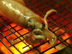 Grilled Squid Stock Footage