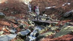 Young hiker crosses a leafy stream bed Stock Footage