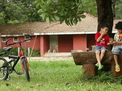 Two boys eating chocolate in a park  Stock Footage