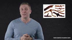 When Giant Fungi Ruled Instructional Video