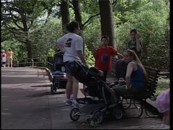Reactions at Washington National Zoo to 'Crocodile Hunter's death News Clip